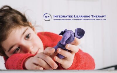 Does your child need a Fiddle Toy?